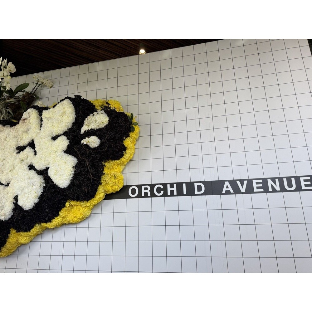 Ana Inciardi Mini Print NYBG Conservatory 2026 Orchid Show Exclusive - Picture 3 of 7
